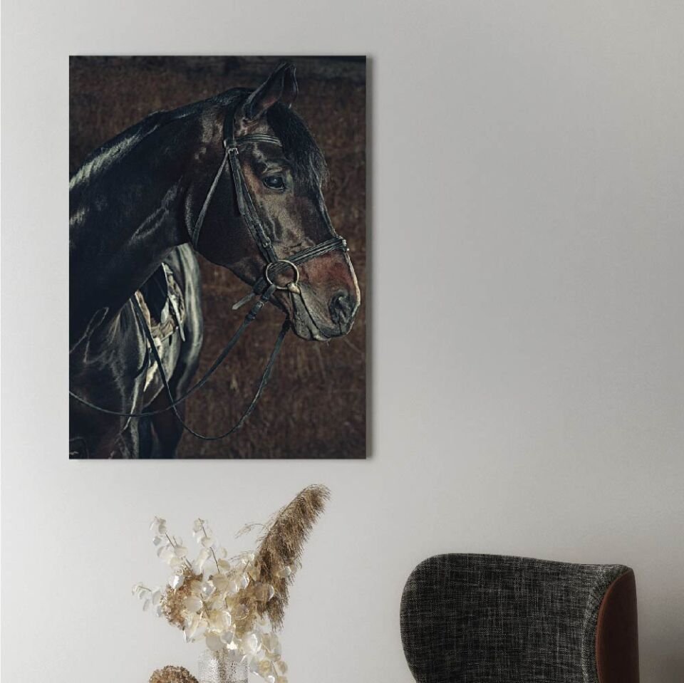 Siyah At Dekoratif Kanvas Tablo