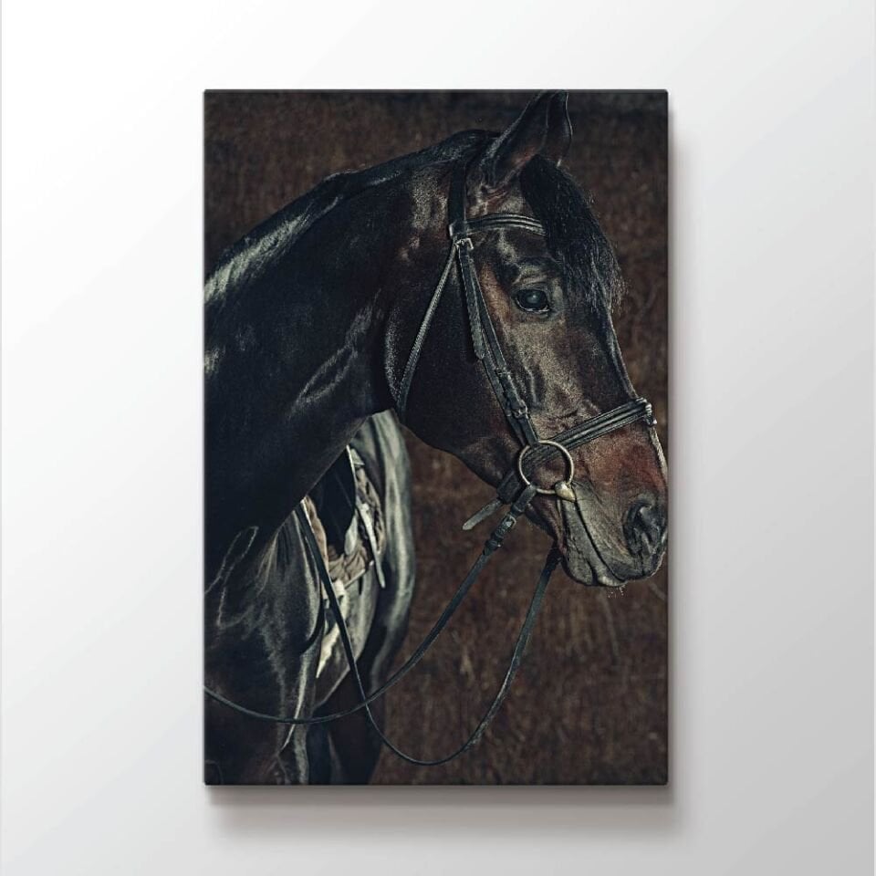 Siyah At Dekoratif Kanvas Tablo