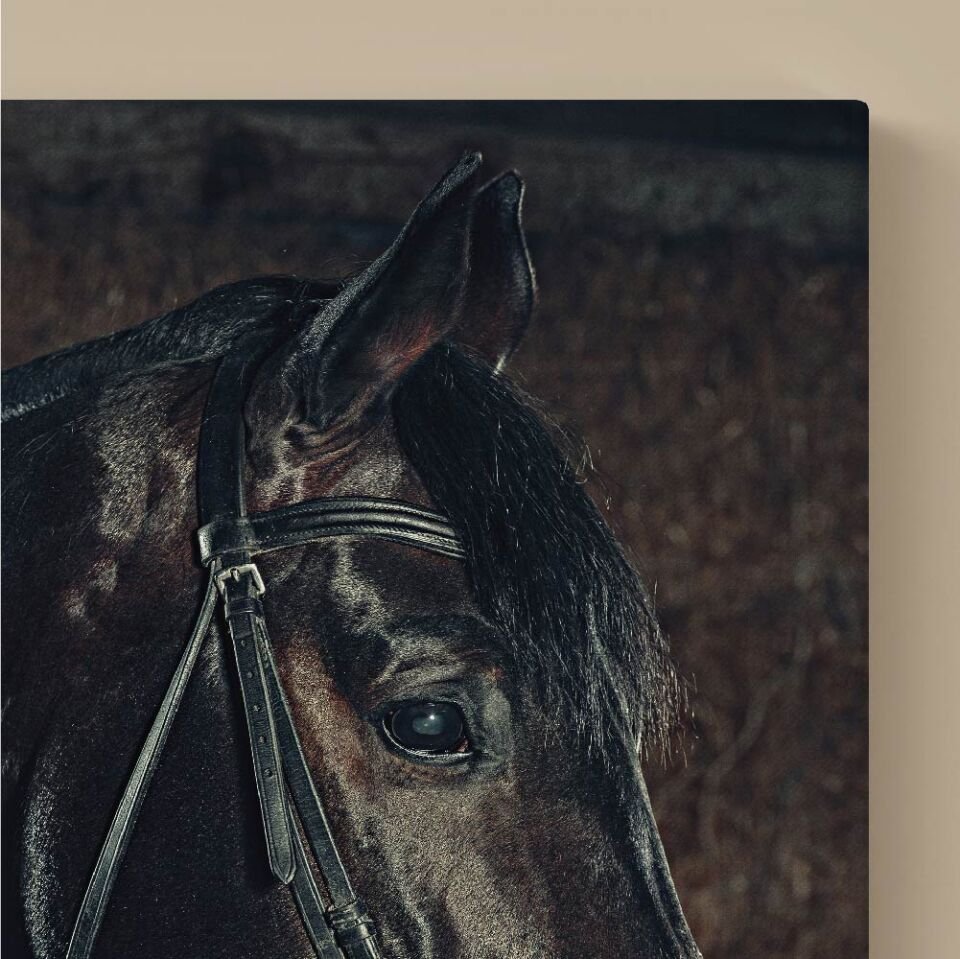 Siyah At Dekoratif Kanvas Tablo