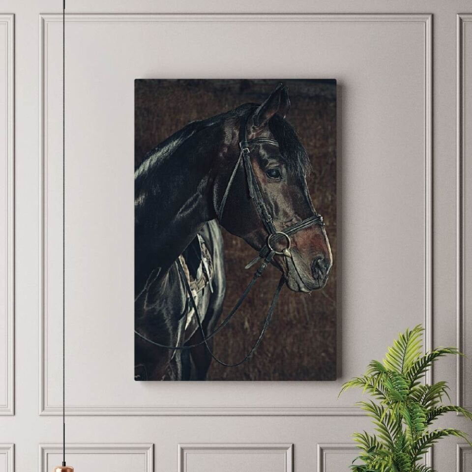 Siyah At Dekoratif Kanvas Tablo