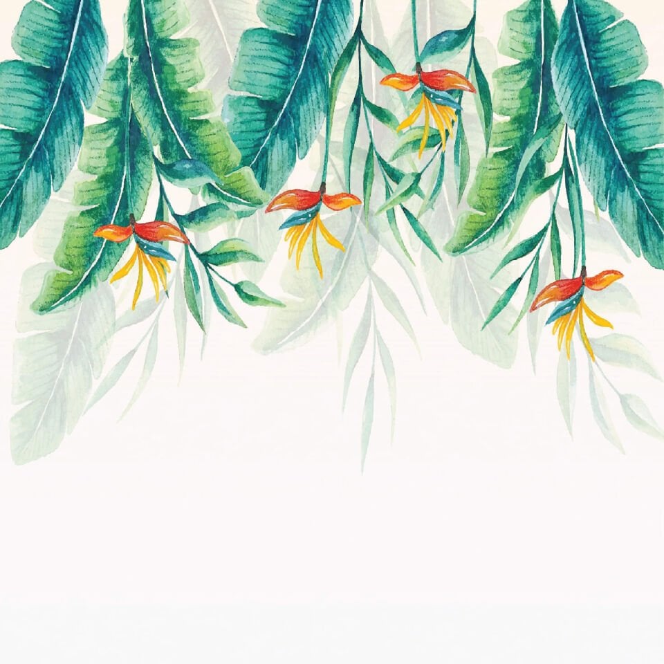 Yeşil Yapraklar Duvar Kağıdı