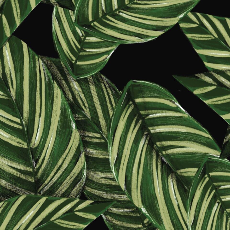 Yeşil Yapraklar Duvar Kağıdı