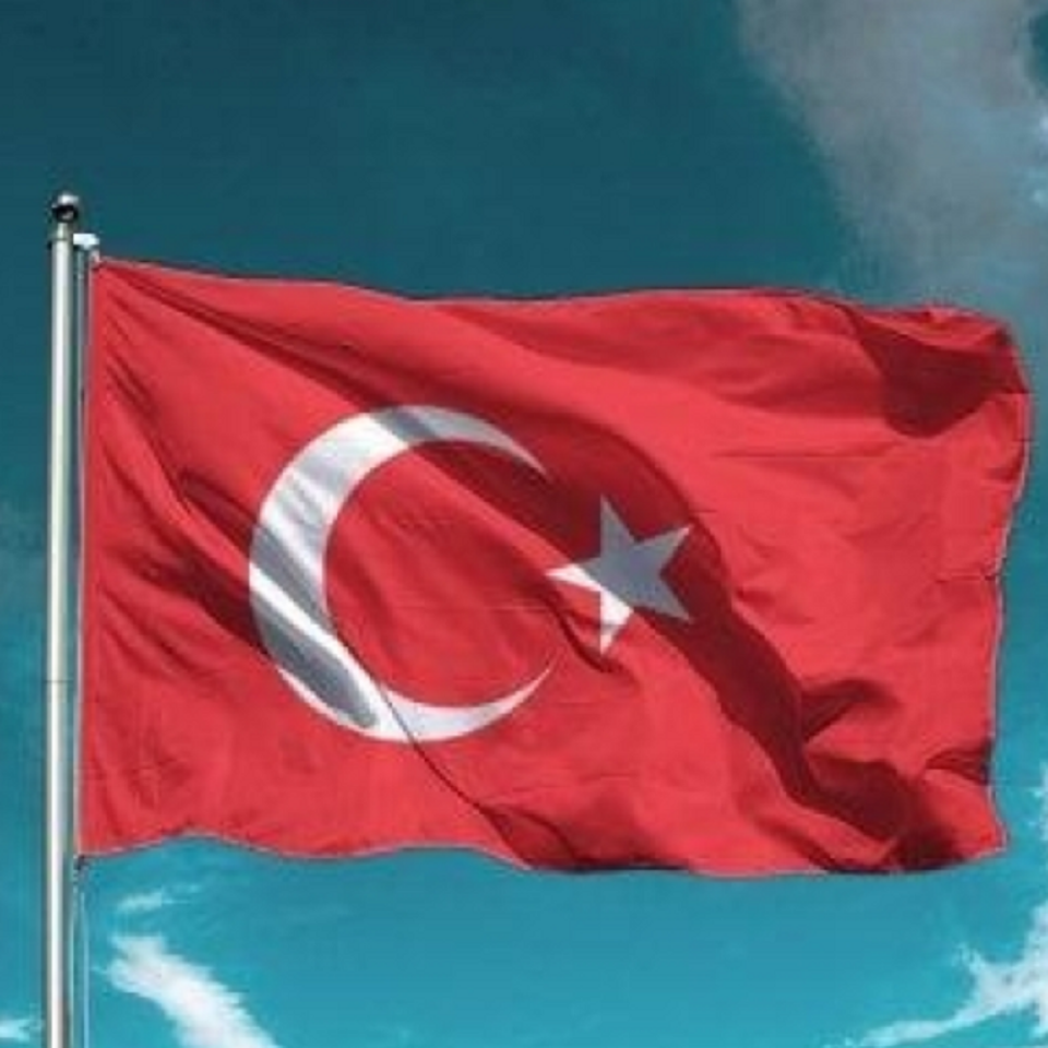 Raşel Kumaş Baskı 90gr -  Fikseli
