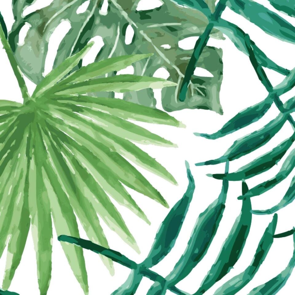 Tropikal Yeşil Yapraklar Duvar Kağıdı