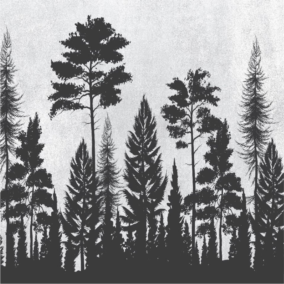 Ağaç Silüetleri Duvar Kağıdı