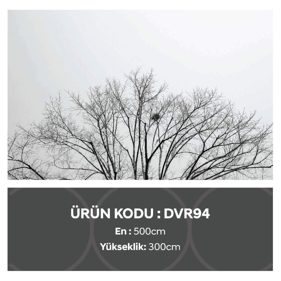 Ağaç Deseni Duvar Kağıdı