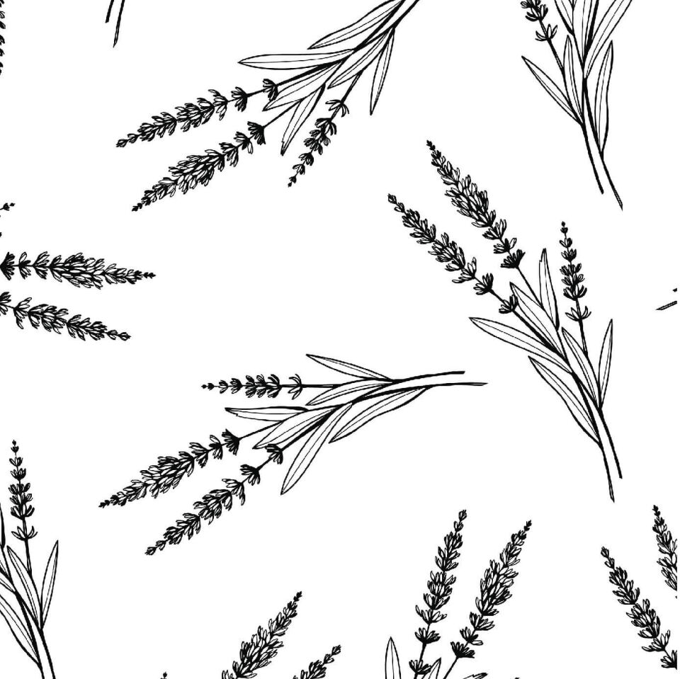 Siyah Başaklar Duvar Kağıdı