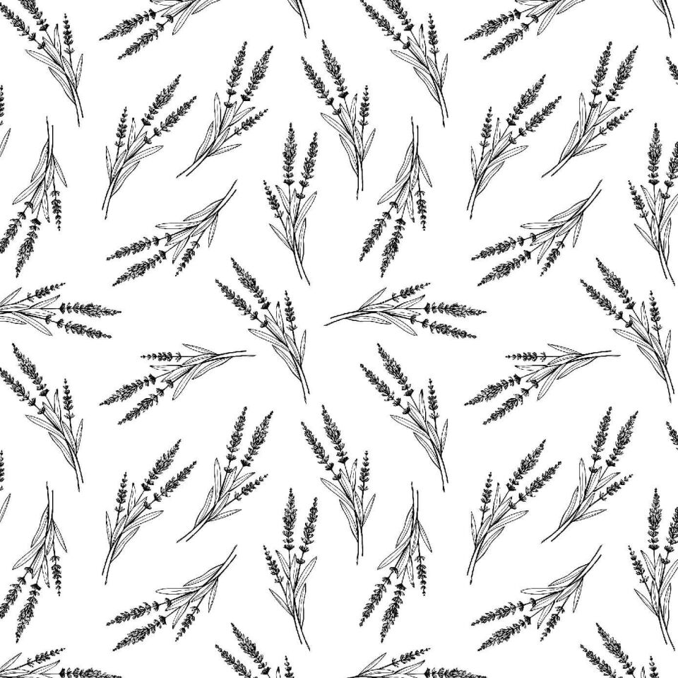 Siyah Başaklar Duvar Kağıdı