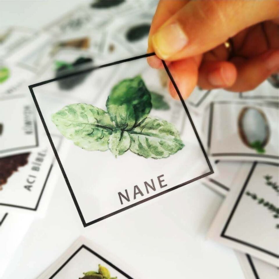 Baharatlar 42'li Sticker Seti