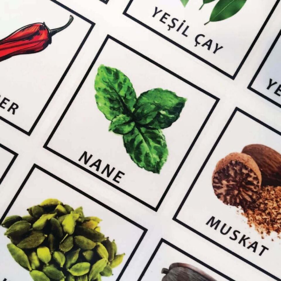 Baharatlar 42'li Sticker Seti