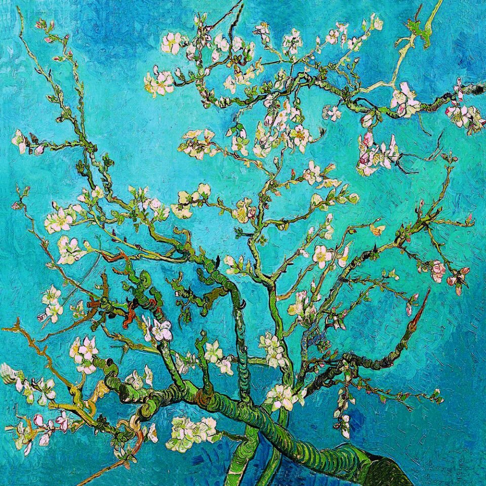 Çiçek  Açan Badem Ağacı Tablosu - Almond Blossoms |  Vincent Van Gogh