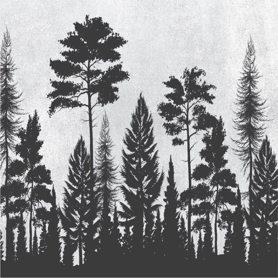 Ağaç Silüetleri Duvar Kağıdı